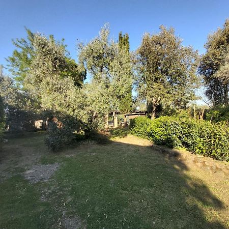 Tenuta Santa Maria Villa Campagnatico Bagian luar foto