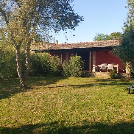 Tenuta Santa Maria Villa Campagnatico Bagian luar foto