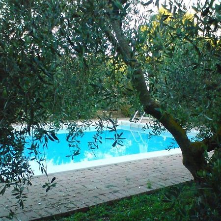 Tenuta Santa Maria Villa Campagnatico Bagian luar foto