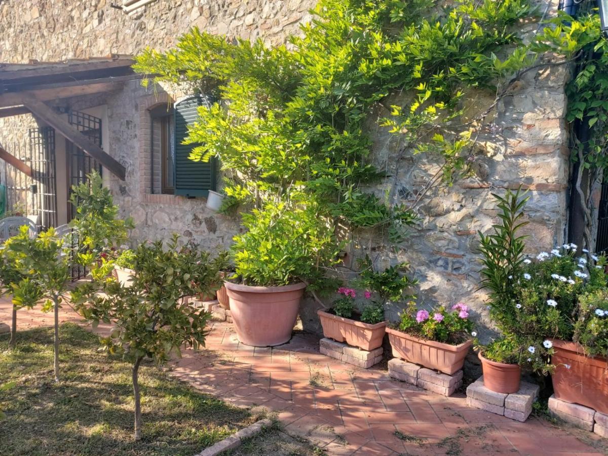Tenuta Santa Maria Villa Campagnatico Bagian luar foto