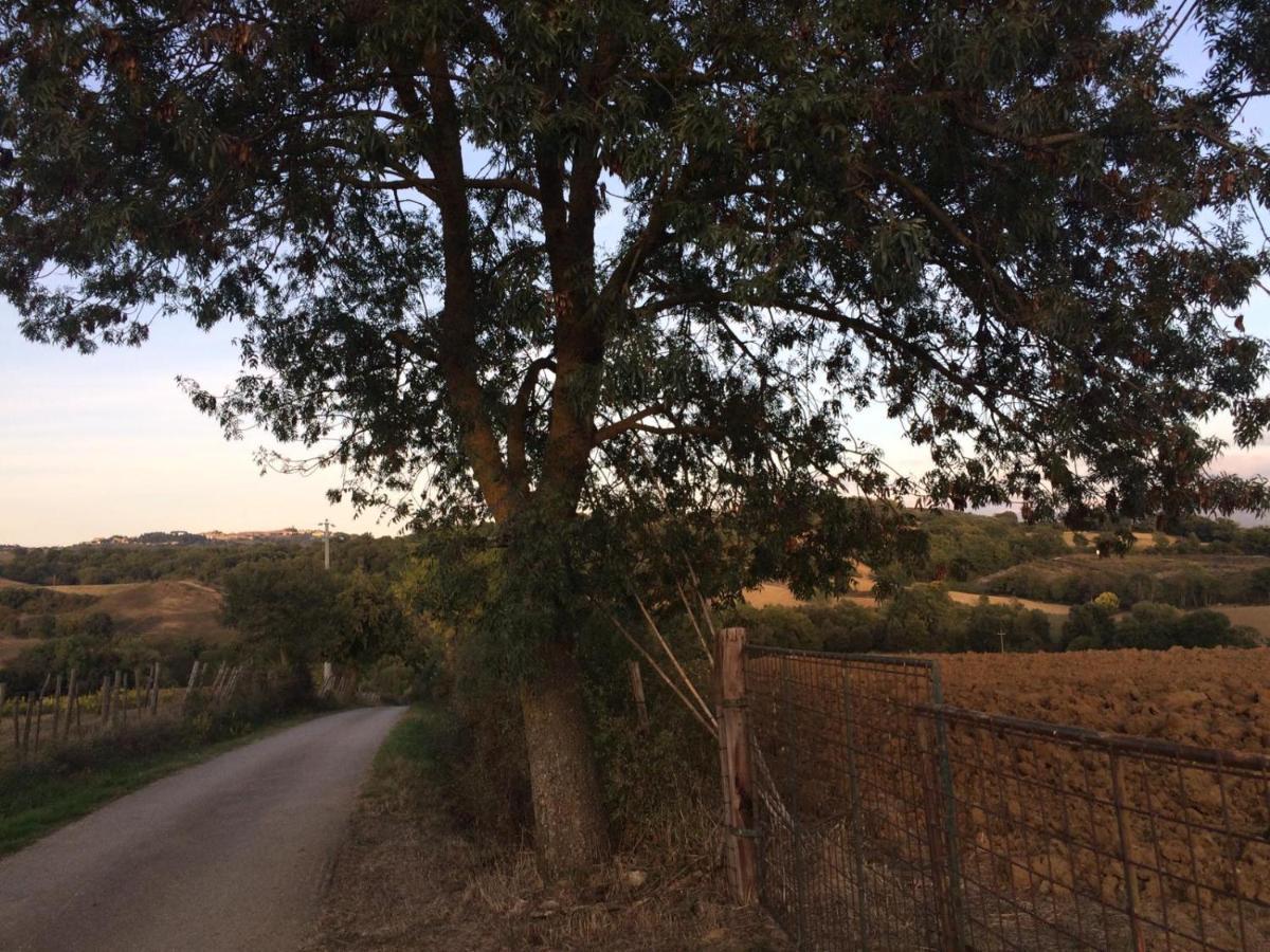 Tenuta Santa Maria Villa Campagnatico Bagian luar foto