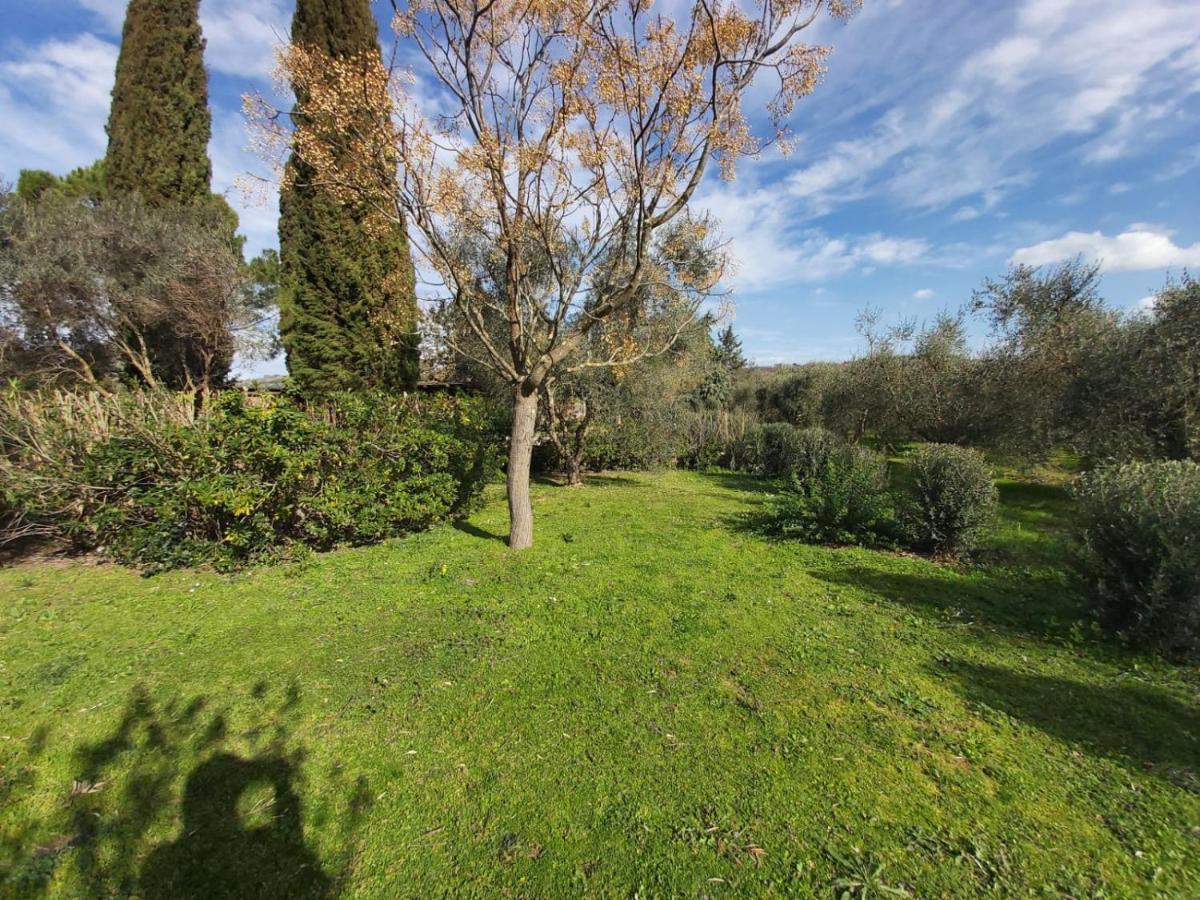 Tenuta Santa Maria Villa Campagnatico Bagian luar foto