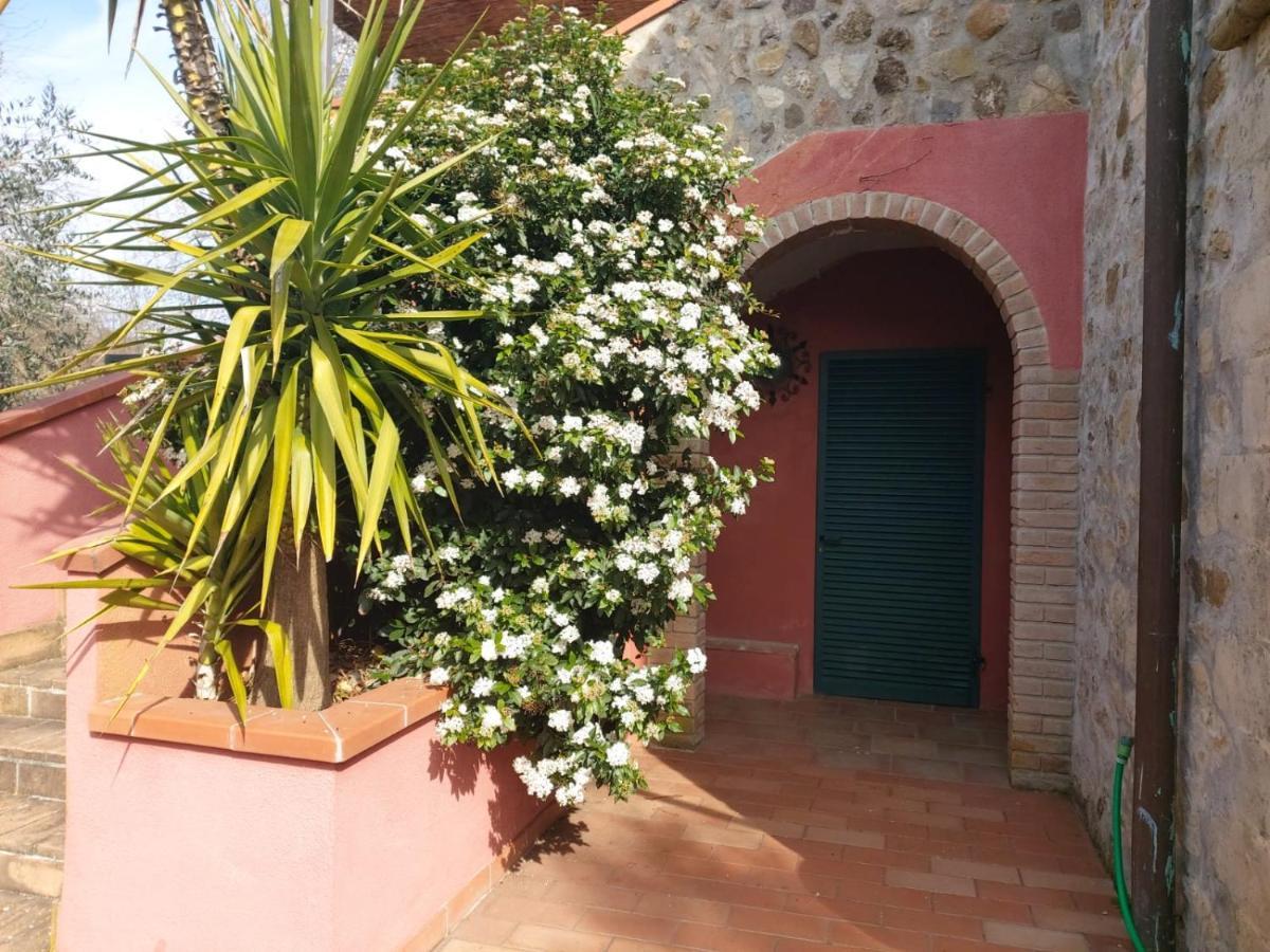 Tenuta Santa Maria Villa Campagnatico Bagian luar foto