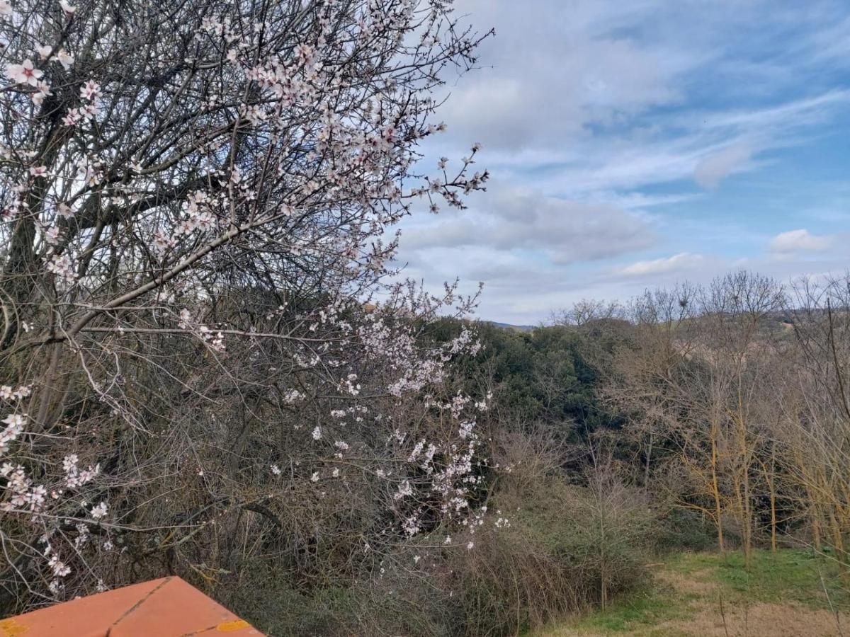 Tenuta Santa Maria Villa Campagnatico Bagian luar foto