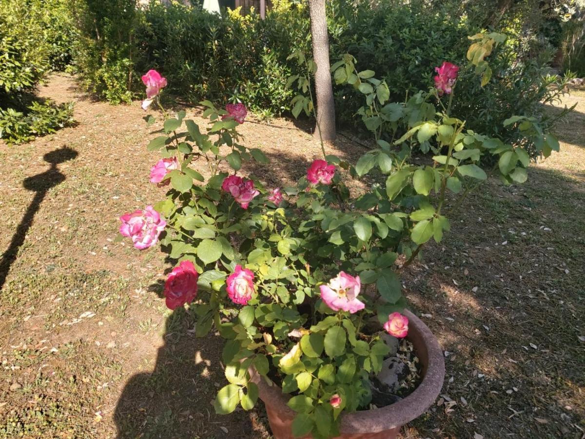 Tenuta Santa Maria Villa Campagnatico Bagian luar foto
