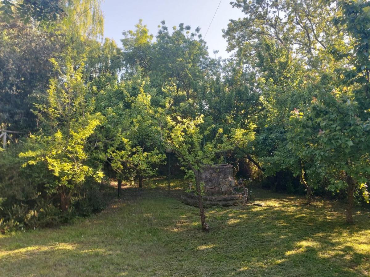 Tenuta Santa Maria Villa Campagnatico Bagian luar foto