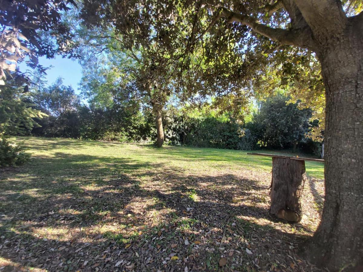 Tenuta Santa Maria Villa Campagnatico Bagian luar foto