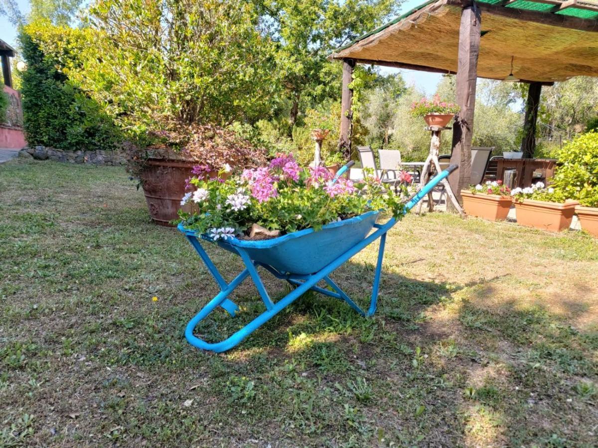 Tenuta Santa Maria Villa Campagnatico Bagian luar foto