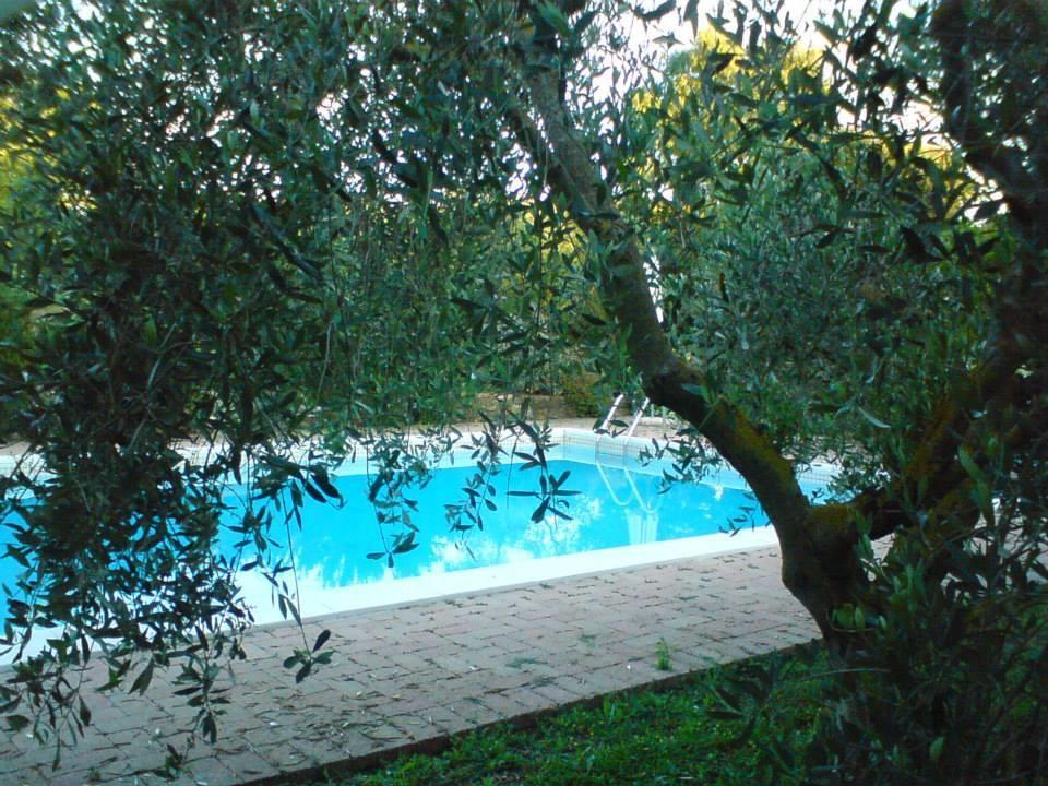 Tenuta Santa Maria Villa Campagnatico Bagian luar foto